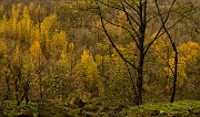 Horsetail Falls Trail 009